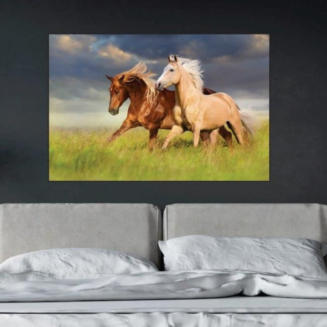 Quadro Animais - Cavalo (1040)