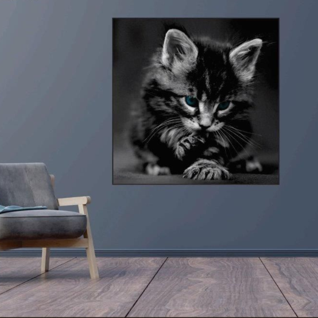 Quadro Animais - Gato (1052)